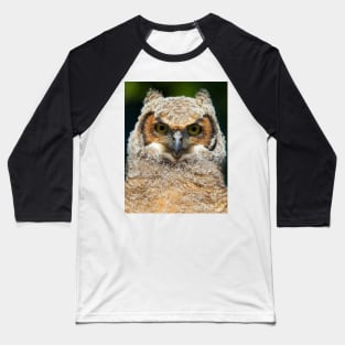 Great Horned owlet Baseball T-Shirt